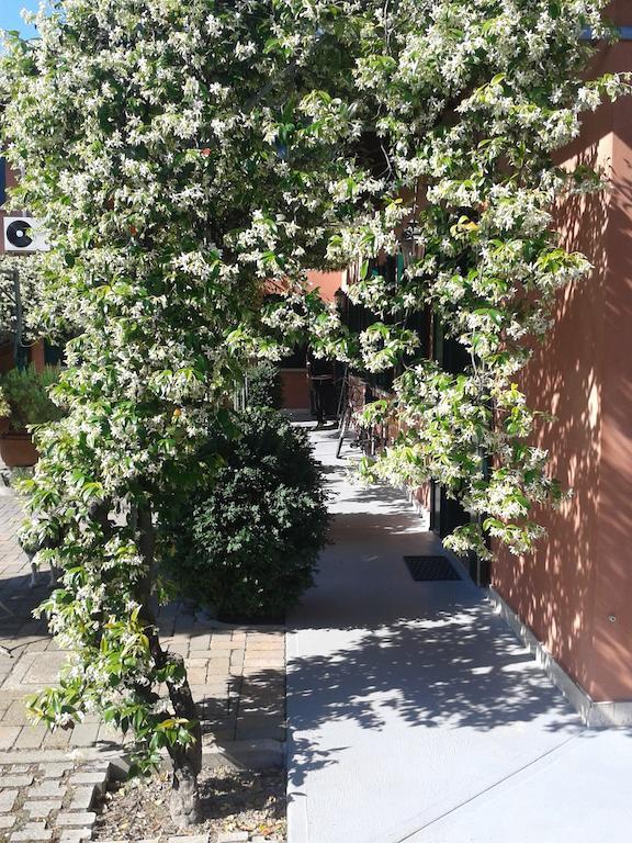 Dreon B&B Portogruaro Rom bilde