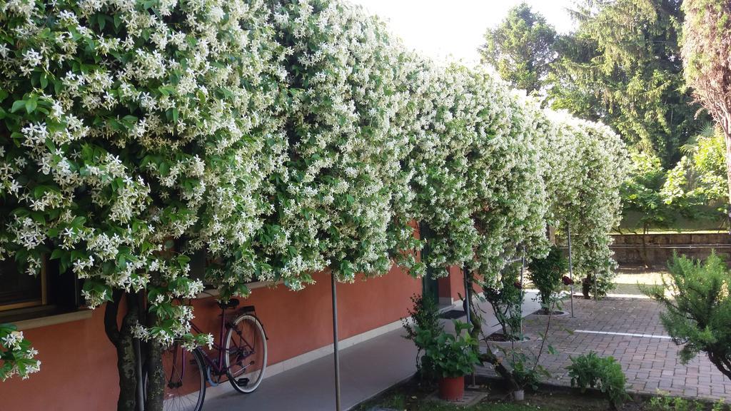 Dreon B&B Portogruaro Eksteriør bilde